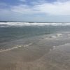 The good, the bad, and the sandy; a review of Charleston area beaches