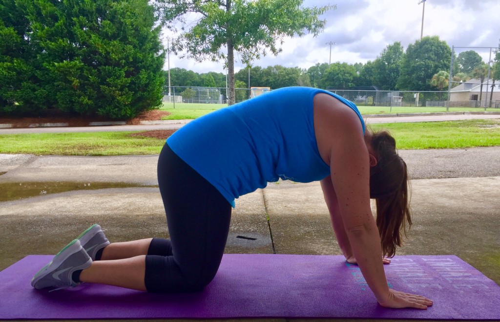 Staying Core Fit While Pregnant