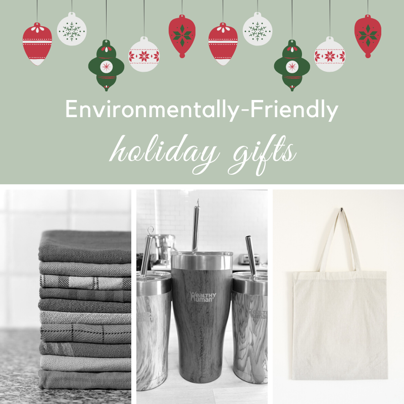 The Best Environmentally-Friendly Holiday Gifts Charleston Moms