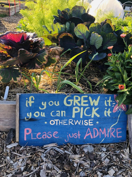 Grow Your Own Food_ Community Gardens around Charleston Can Help Charleston Moms