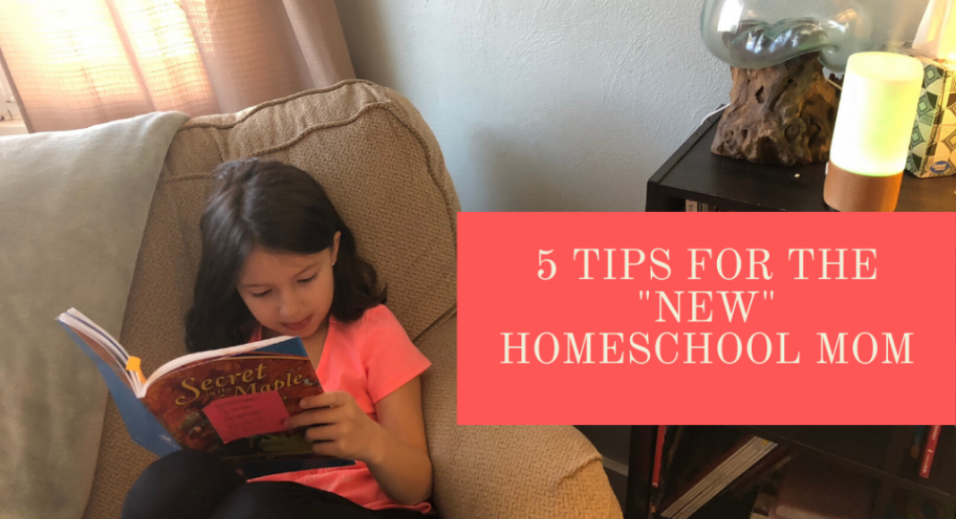 5 Tips For the New Homeschool Mom Charleston Moms