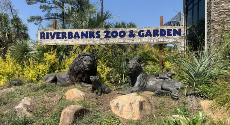 Explore SC: A Mom’s Look At the Riverbanks Zoo