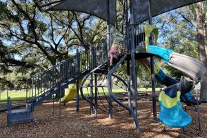 Randolph Playground slides