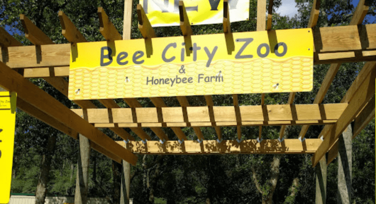 Explore SC: Bee City Zoo