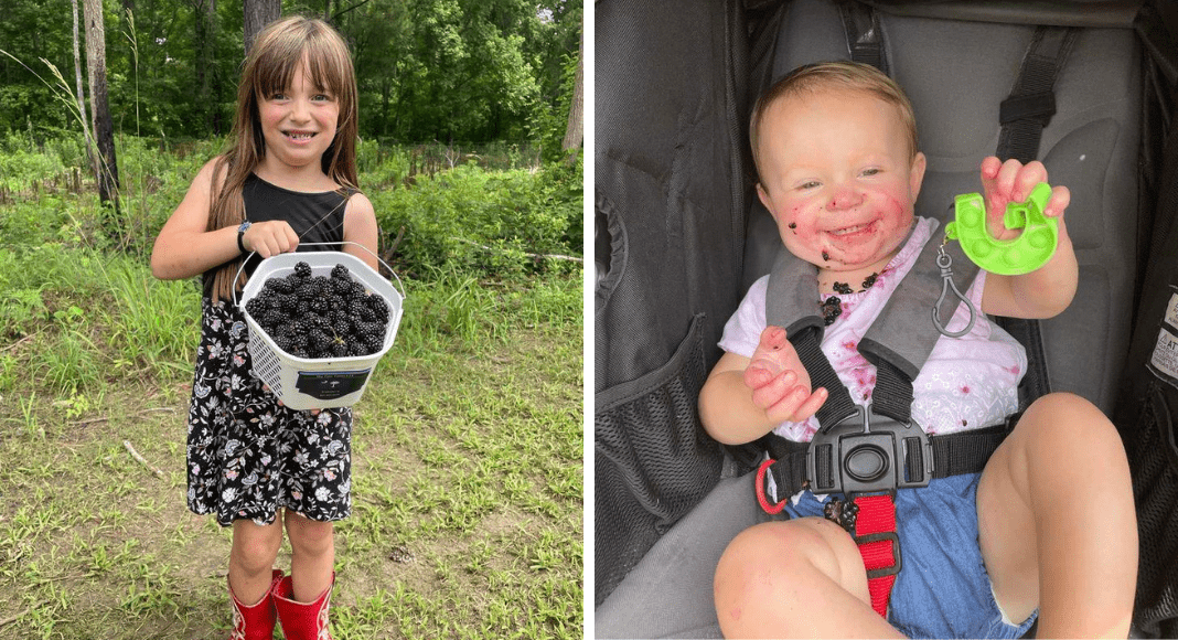 On the left is a picture of a smiling young girl in a dress and red rain boots holding a white bucket full of blackberries. On the right is a photo of a baby boy in his carseat, smiling with blackberry juice around his mouth.