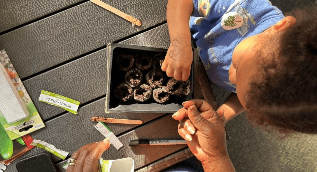 Don't let gardening be intimidating! A toddler girl places seeds into a starter kit with the help from her mom.